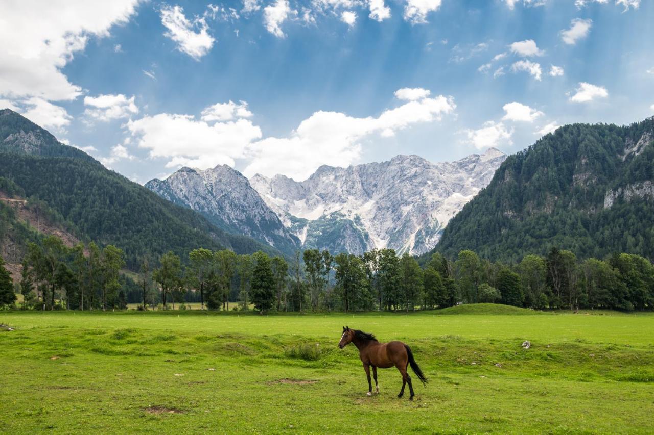 Boutique Hotel Vila Planinka Zgornje Jezersko Buitenkant foto