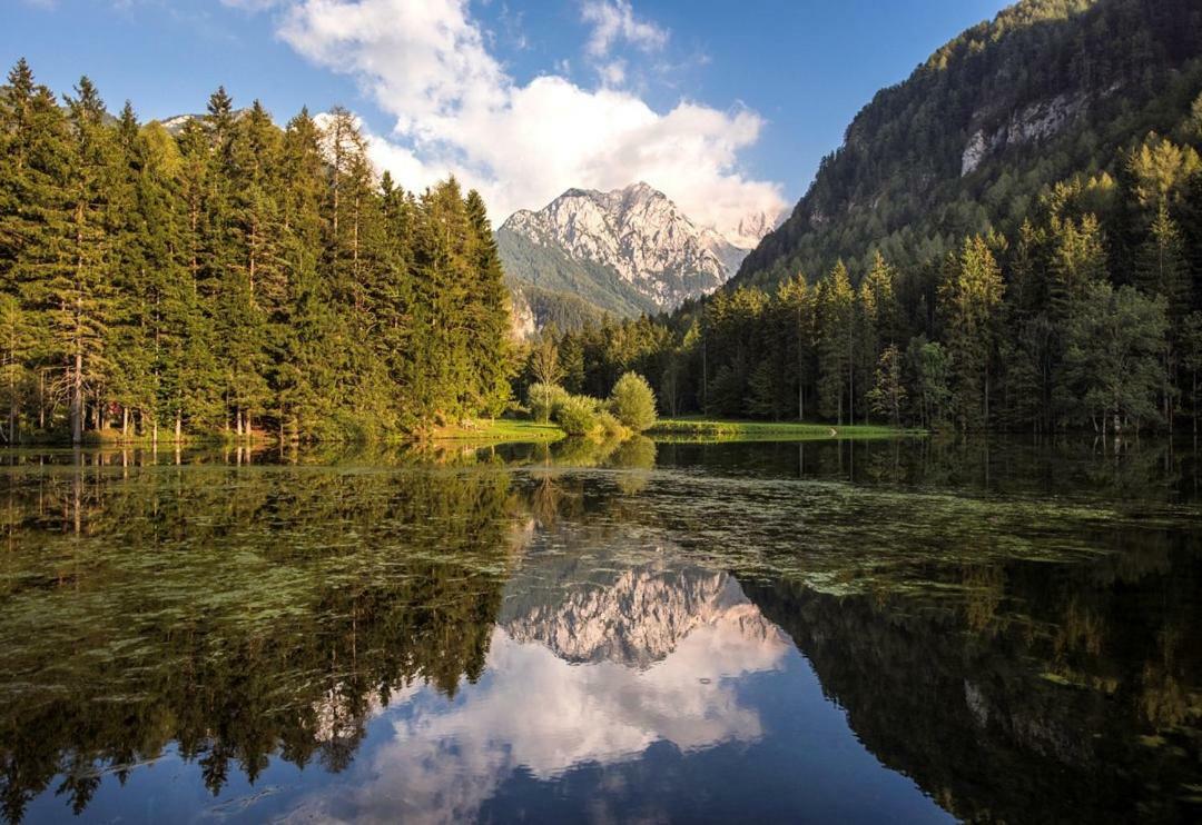 Boutique Hotel Vila Planinka Zgornje Jezersko Buitenkant foto