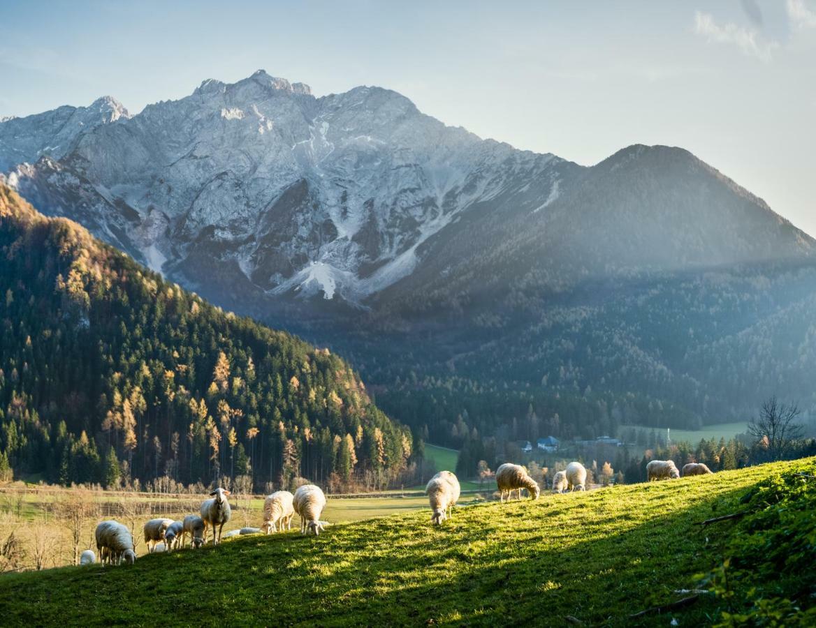 Boutique Hotel Vila Planinka Zgornje Jezersko Buitenkant foto