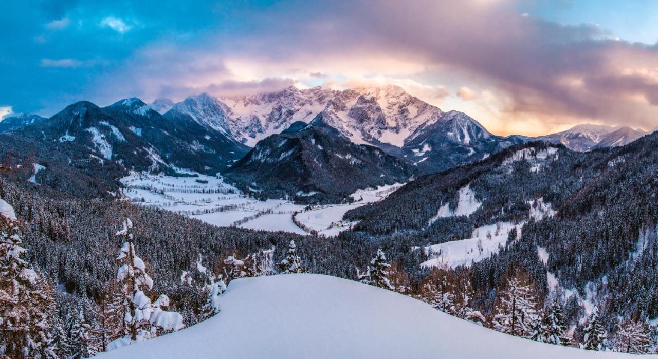 Boutique Hotel Vila Planinka Zgornje Jezersko Buitenkant foto
